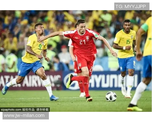 帕莱斯蒂诺与巴西国际海运价格对比分析及影响因素探讨